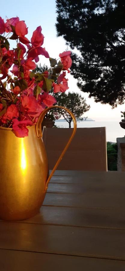 Casa "Le Terrazze" Villa Erice Kültér fotó