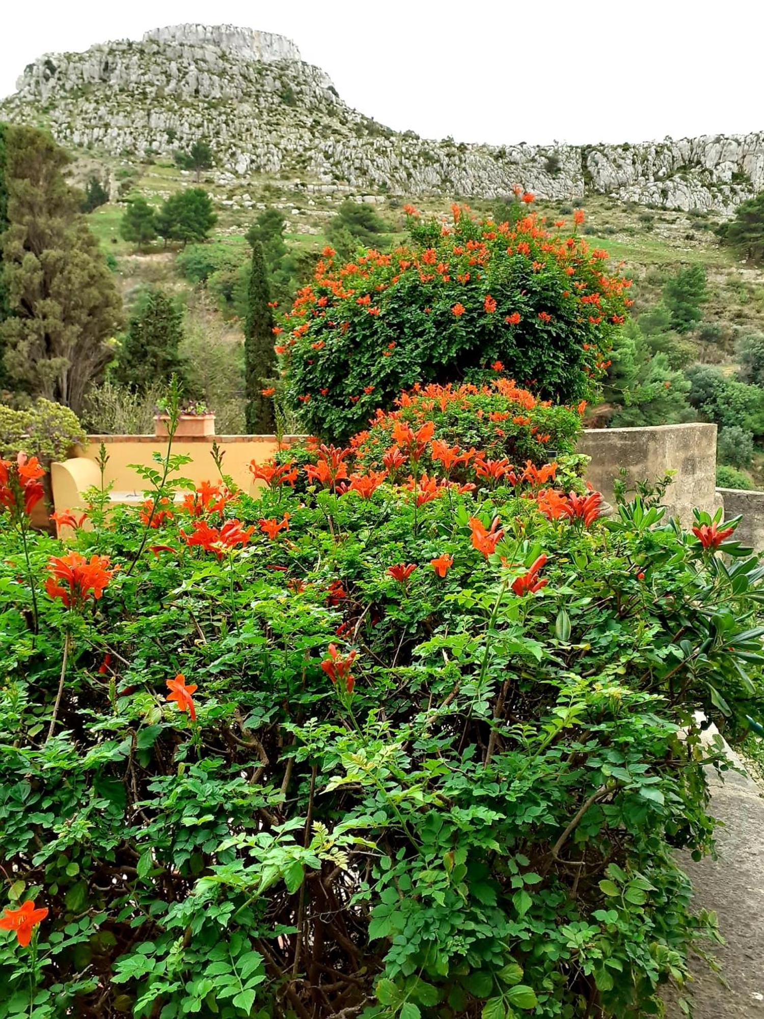 Casa "Le Terrazze" Villa Erice Kültér fotó