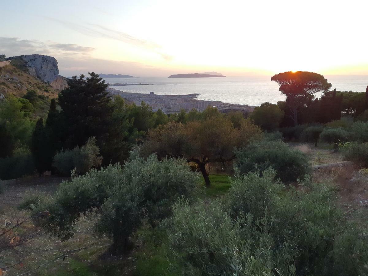 Casa "Le Terrazze" Villa Erice Kültér fotó